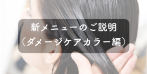 新メニューのご説明(ダメージケアカラー編)